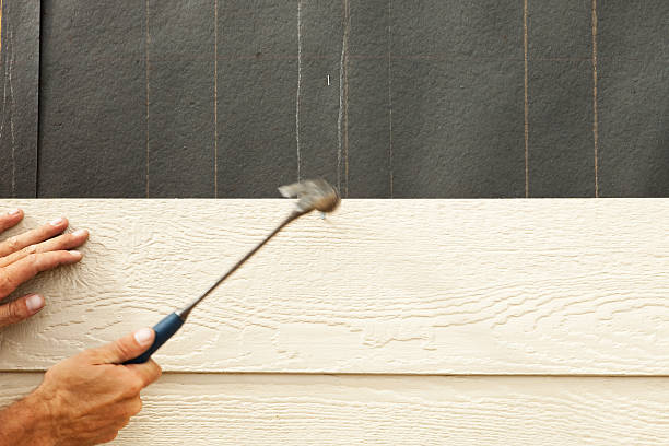 Best Stone Veneer Siding  in Campbellsburg, KY