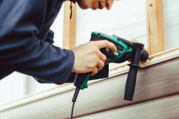 Best Custom Trim and Detailing for Siding  in Campbellsburg, KY